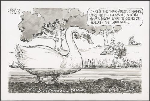 QLD electoral fraud - swan paddling in bottom of pond, 2000 [picture] / Pryor