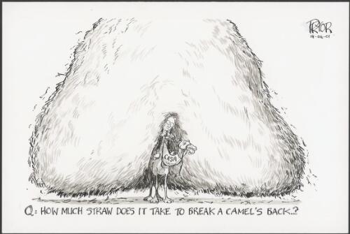 How much straw does it take to break a camel's back? - CASA overburdened with Ansett maintenance safety deficiencies, 2001 [picture] / Pryor
