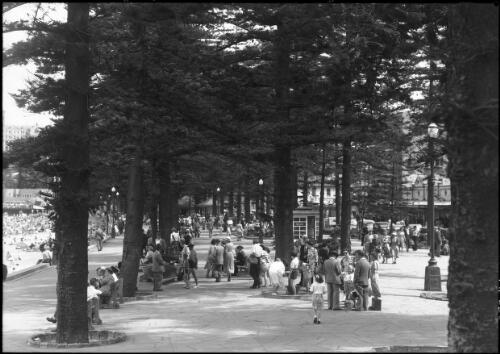 [People on promenade under pine trees, Manly Beach, New South Wales] [picture] : [Sydney, New South Wales] / [Frank Hurley]