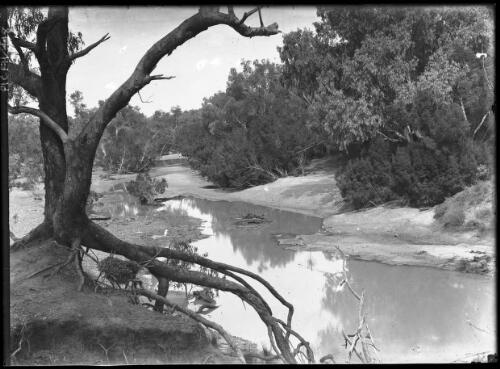 The Diamantina River, west Queensland, normally a chain of ponds that expand into broad lakes during rains [picture] : [Queensland] / [Frank Hurley]