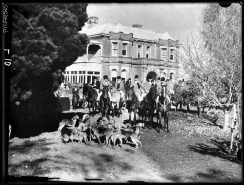 Midland Hunt from Cold Plate [? Riders, horses and hounds] [picture] : [Launceston, Tasmania] / [Frank Hurley]
