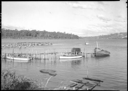 Glimpse on the Tamar [fishing boats in water] [picture] : [Launceston, Tasmania] / [Frank Hurley]