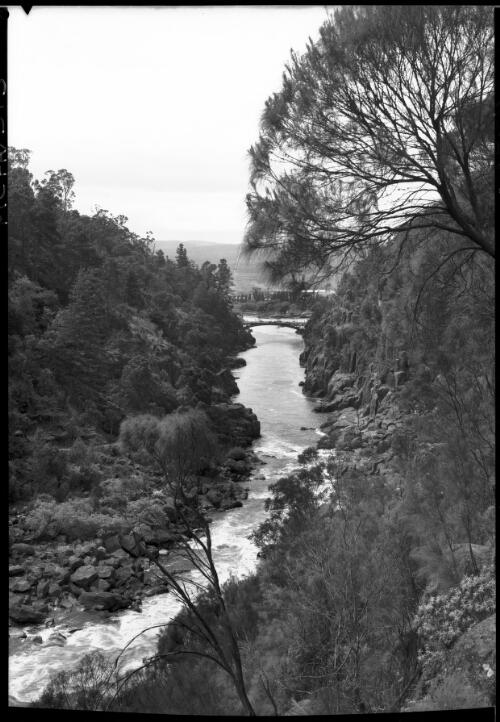 Cataract Gorge [2] [picture] : [Launceston, Tasmania] / [Frank Hurley]