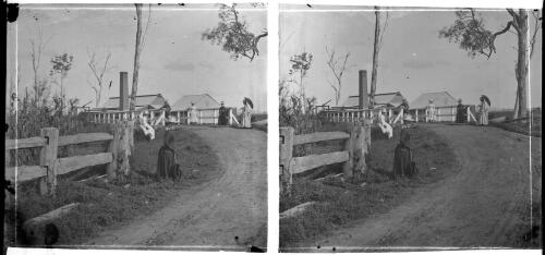 Old fashion[ed] dress and bussells [i.e. bustles] used by women years ago, Clarence River view N.S.W. 1891 [picture] : [Grafton, New South Wales] / [Frank Hurley]