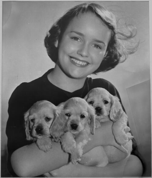 [Girl with three cocker spaniel puppies, 1] [picture] : [Portrait] / [Frank Hurley]