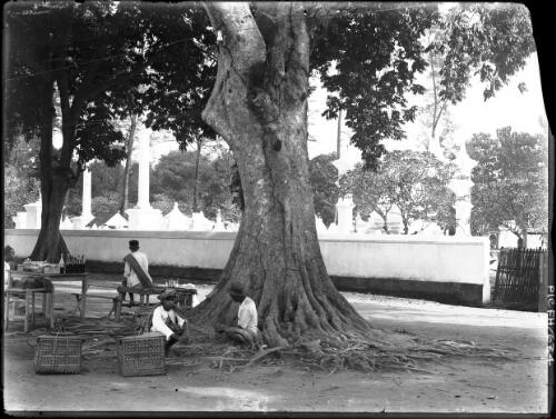 [Four figures under trees, baskets, bottles, tables and benches, 1913] [picture] : [Java, Indonesia] / [Frank Hurley]
