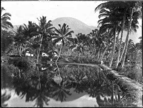 Tjipanas pool with three huts and palm trees, 1913] [picture] : [Java, Indonesia] / [Frank Hurley]