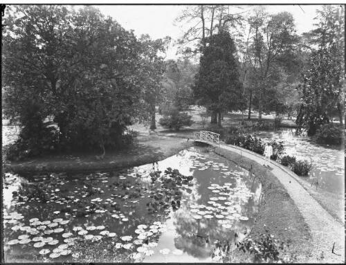 Gardens Buttenzorg [1913] [picture] : [Java, Indonesia] / [Frank Hurley]