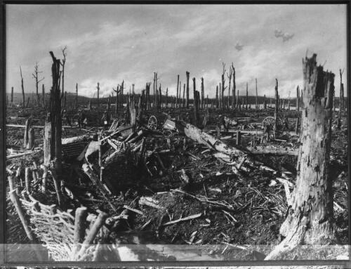 [Devastated landscape of the Ypres sector, Flanders, 1917] [picture] : [Flanders, World War I] / [Frank Hurley]