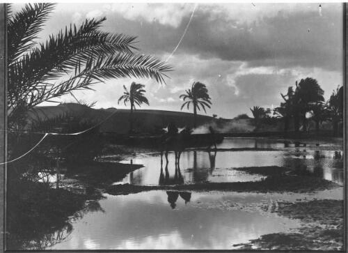 [Man on horseback in a river, palm trees, December 1917- March 1918] [picture] : [World War I] / [Frank Hurley]