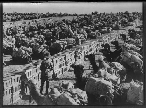 [Loading camels at a railhead] [picture] / [Frank Hurley]