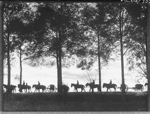[Horse-drawn Australian artillery silhouetted along the Poperinghe-Ypres Road, Flanders, 1917] [picture] : [Flanders, World War I] / [Frank Hurley]