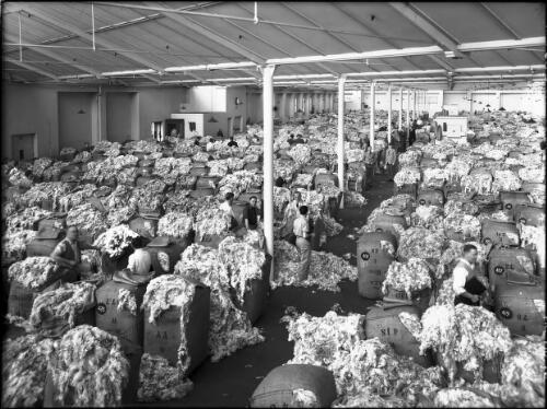 Interior, wool sample floor (Goldsbrough Mort) [wool store and wool bales, Darling Harbour in the 1940s, 2] [picture] : [Sydney, New South Wales] / [Frank Hurley]
