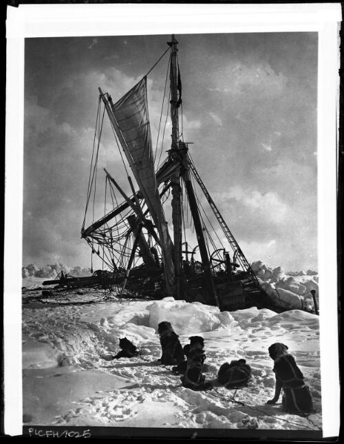 The Endurance crushed to death by the icepacks of the Weddell Sea [watched by the dogs, Shackleton expedition, 1 November 1915] [picture] : [Antarctica] / [Frank Hurley]