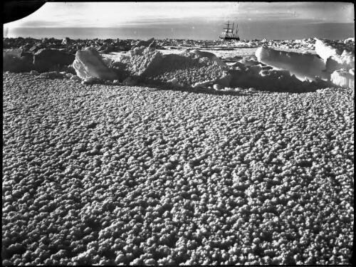 Surface of a newly frozen lead was covered with delicate crystal rosette formations resembling nothing so much as a field of white carnations [the Endurance, beset, in the background, Shackleton expedition, 16 February 1915] [picture] : [Antarctica] / [Frank Hurley]
