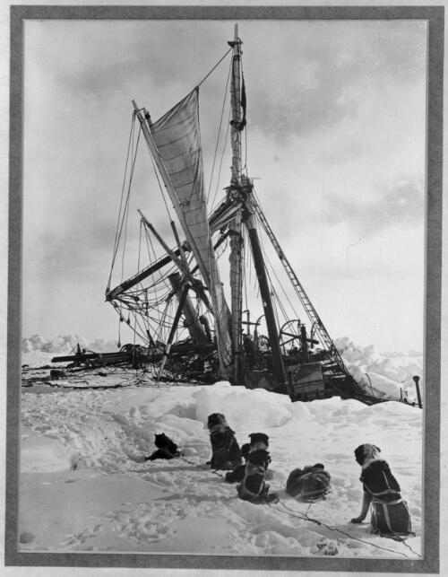 Endurance crushed to death by the icepacks of the Weddell Sea [the sinking ship, watched by the dogs, Shackleton expedition, 1 November 1915] [picture] : [Antarctica] / [Frank Hurley]
