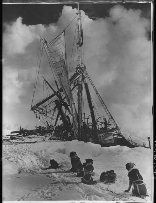 The Endurance crushed to death by the icepacks of the Weddell Sea [watched by the dogs, Shackleton expedition, 1 November 1915] [picture] : [Antarctica] / [Frank Hurley]