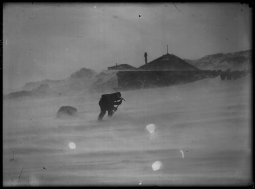 In the blizzard,  getting ice for domestic purposes from the glacier adjacent to the hut,  Adelie Land [Whetter and Close, Australasian Antarctic Expedition, 1911-1914] [picture] : [Antarctica] / [Frank Hurley]