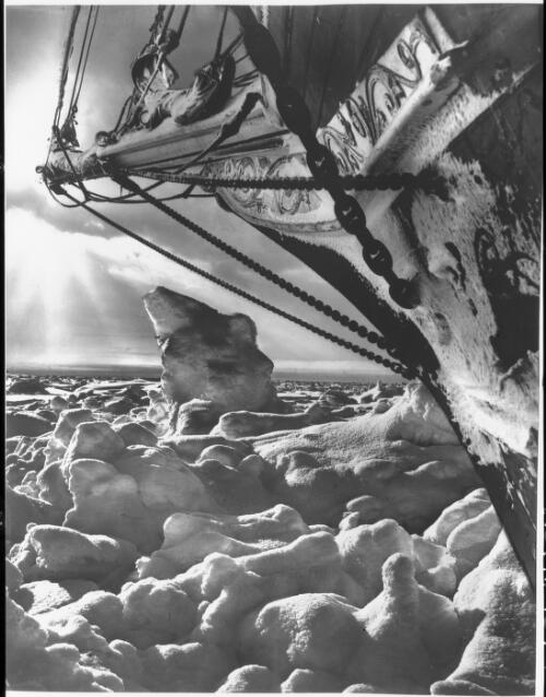 We reached the head of the Weddell Sea, but impenetrable barriers of old ice frustrated further progress [the Endurance close-up with icemound, Shackleton expedition, 1915] [picture] : [Antarctica] / [Frank Hurley]