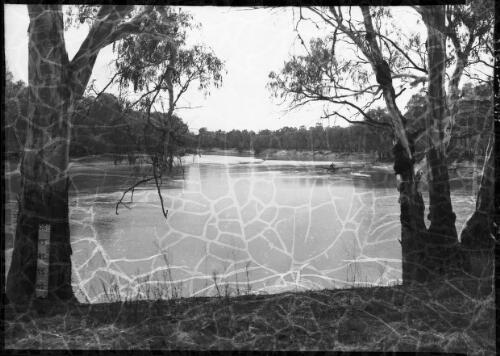The Murray River at Boundary Bend panorama, 2 [picture] : [Victoria] / [Frank Hurley]