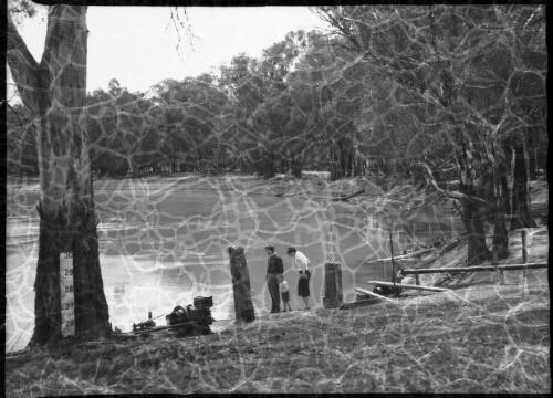 The Murray River at Boundary Bend panorama, 3 [picture] : [Victoria] / [Frank Hurley]
