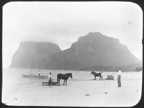 [Four men on a beach with two horses, two drays, a boat in the water and mountains nearby] [picture] : [Norfolk Island] / [Frank Hurley]
