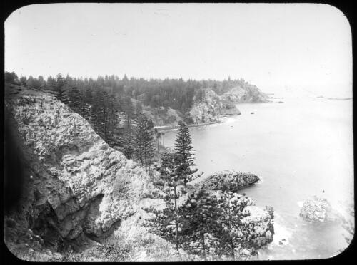 [Cliffs along the sea shore with trees] [picture] : [Norfolk Island] / [Frank Hurley]