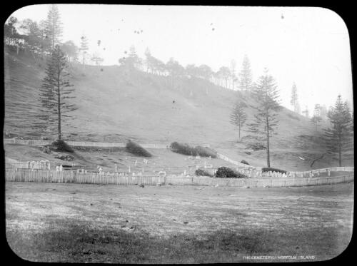 The cemetery, Norfolk Island [picture] : [Norfolk Island] / [Frank Hurley]