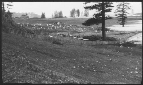 [A cemetery, with headstone, a fence, trees and a slope] [picture] : [Norfolk Island] / [Frank Hurley]