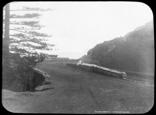 Bloody Bridge [picture] : [Norfolk Island] / [Frank Hurley]