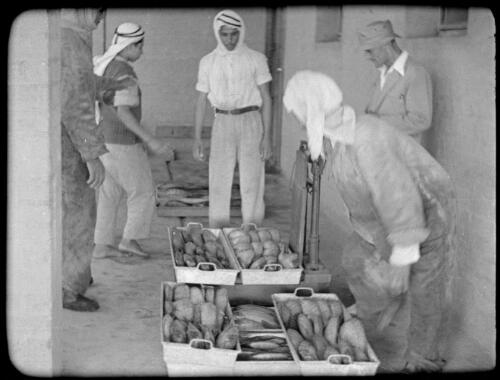 Aquaba, Jordan [men with fish] [picture] : [World War II] / [Frank Hurley]