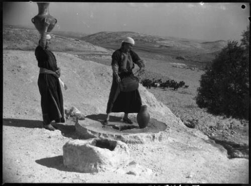 In the land of Ruth, Palestine [picture] / [Frank Hurley]