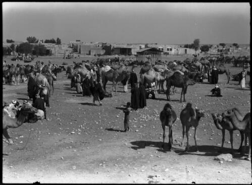 Camel market Beersheba, Beersheba Palestine [small roofed structure between outer fence and main part of the market] [picture] / [Frank Hurley]