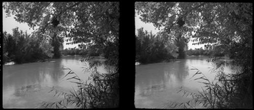 The Jordan [quiet river scene] [picture] / [Frank Hurley]