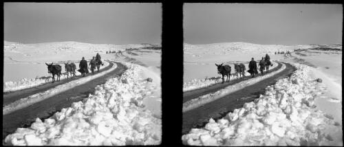 Hebron on the Bethlehem-Jerusalem Road, winter [showing three donkeys and three men travelling on a dirt road] [picture] / [Frank Hurley]