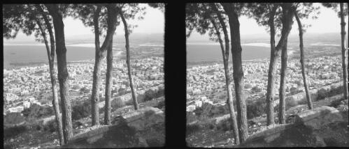 Haifa Palestine [viewed through trees on a hillside, ca. 1942] [picture] / [Frank Hurley]