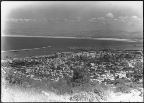 Haifa [town and bay viewed from a hill, ca. 1942, 3] [picture] / [Frank Hurley]