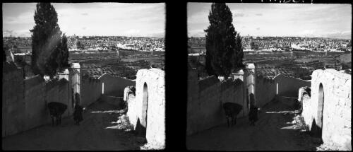 Typical laneway on Mt of Olives looking towards Jerusalem [picture] / [Frank Hurley]