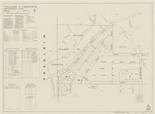 Village of Cessnock and adjoining lands [cartographic material] : Parish - Cessnock, County - Northumberland, Land District - Maitland, City of Greater Cessnock : within Division - Eastern N.S.W., Pastures Protection District - Maitland