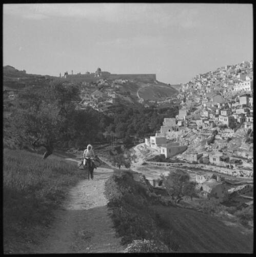 Miscellaneous scenes, Jerusalem, mostly in valley of Kedron [figure on donkey, ca. 1940-45] [picture] / [Frank Hurley]