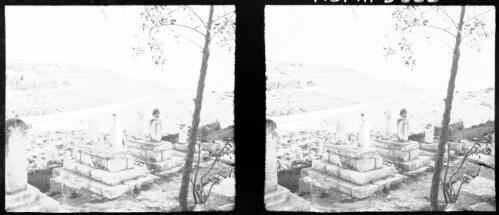 Jerusalem [tree and graves in foreground, cemetery, ca. 1940-1945] [picture] / [Frank Hurley]