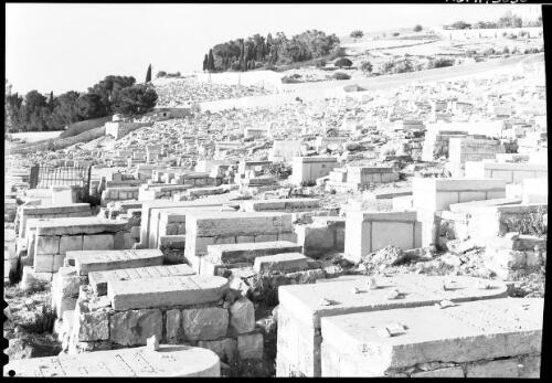 Jewish Cemetery Mount of Olives Jerusalem [picture] / [Frank Hurley]