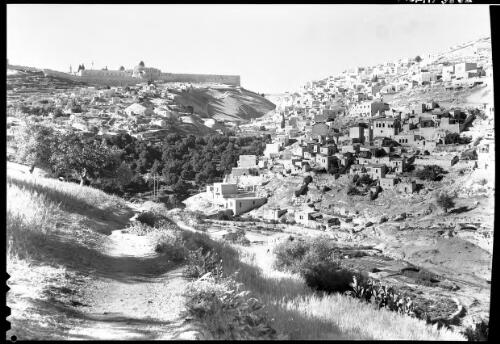 [Southern wall of the Haram esh Sharif, Jerusalem] [picture] / [Frank Hurley]