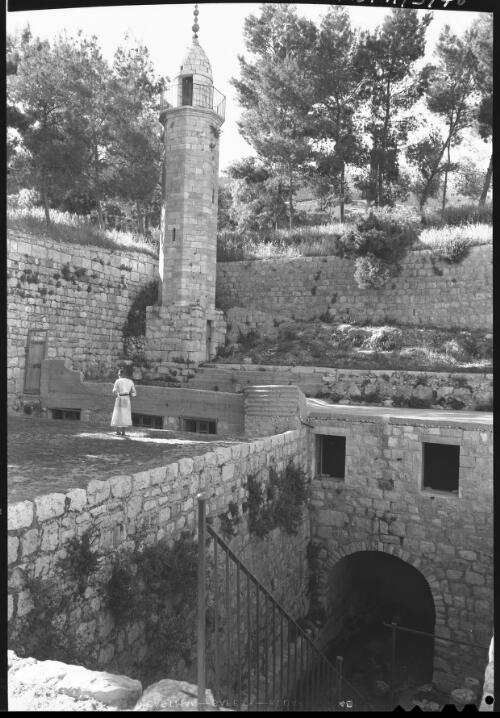 Pool of Siloam Jerusalem [picture] / [Frank Hurley]
