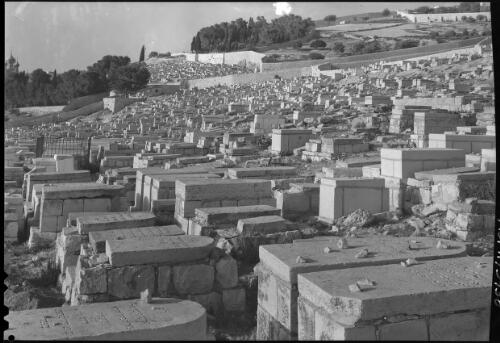 [Jerusalem, Jewish Cemetery, Mount of Olives] [picture] / [Frank Hurley]