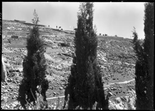 [Cemetery near or at the Mount of Olives, Kedron valley Jerusalem] [picture] / [Frank Hurley]