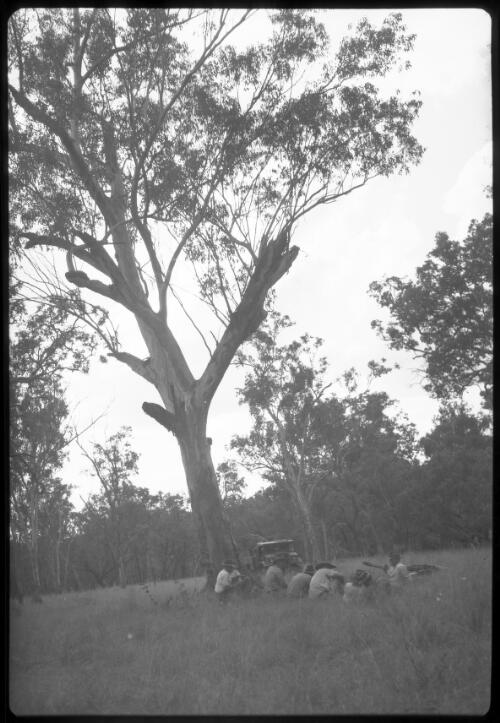 [Group of men resting under a tree in bushland with a truck in background] [picture] / [Frank Hurley]