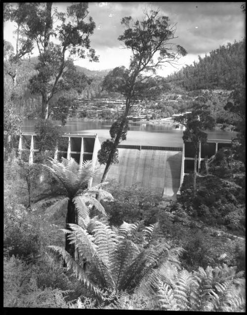 Bogong Dam & tree ferns in F[ore]Ground [Kiewa, December 1947] [picture] : [State Electricity Commission of Victoria] / [Frank Hurley]