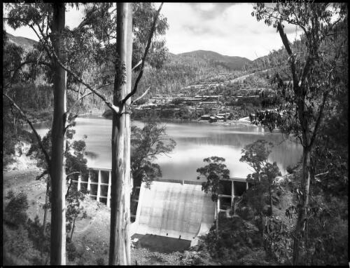 Bogong Dam through the trees, horizontal [Kiewa, December 1947] [picture] : [State Electricity Commission of Victoria] / [Frank Hurley]