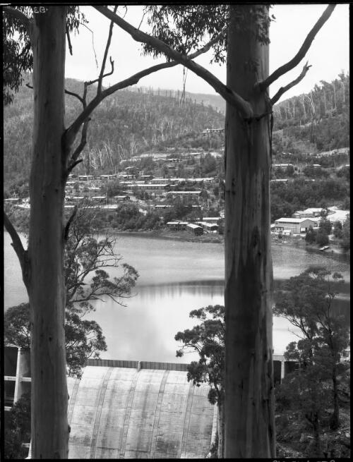 Bogong Dam & Lake Guy, vertical [through trees, Kiewa, December 1947] [picture] : [State Electricity Commission of Victoria] / [Frank Hurley]